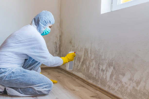 Licensed Bathroom Mold Removal service in Nutley, NJ - Car Mold Remediation