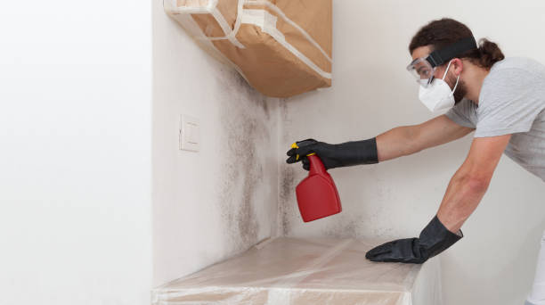 Professional Bathroom Mold Removal technician working in Nutley, NJ