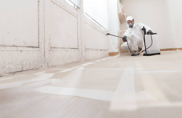24/7 Emergency Bathroom Mold Removal experts in Nutley, NJ